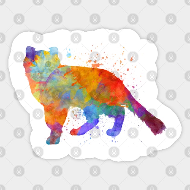 curl american cat in watercolor Sticker by PaulrommerArt